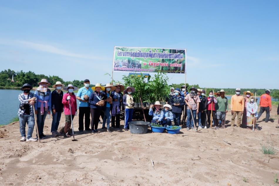 โครงการปลูกไผ่กิมซุงเพื่อสร้างคลังอาหารชุมชน