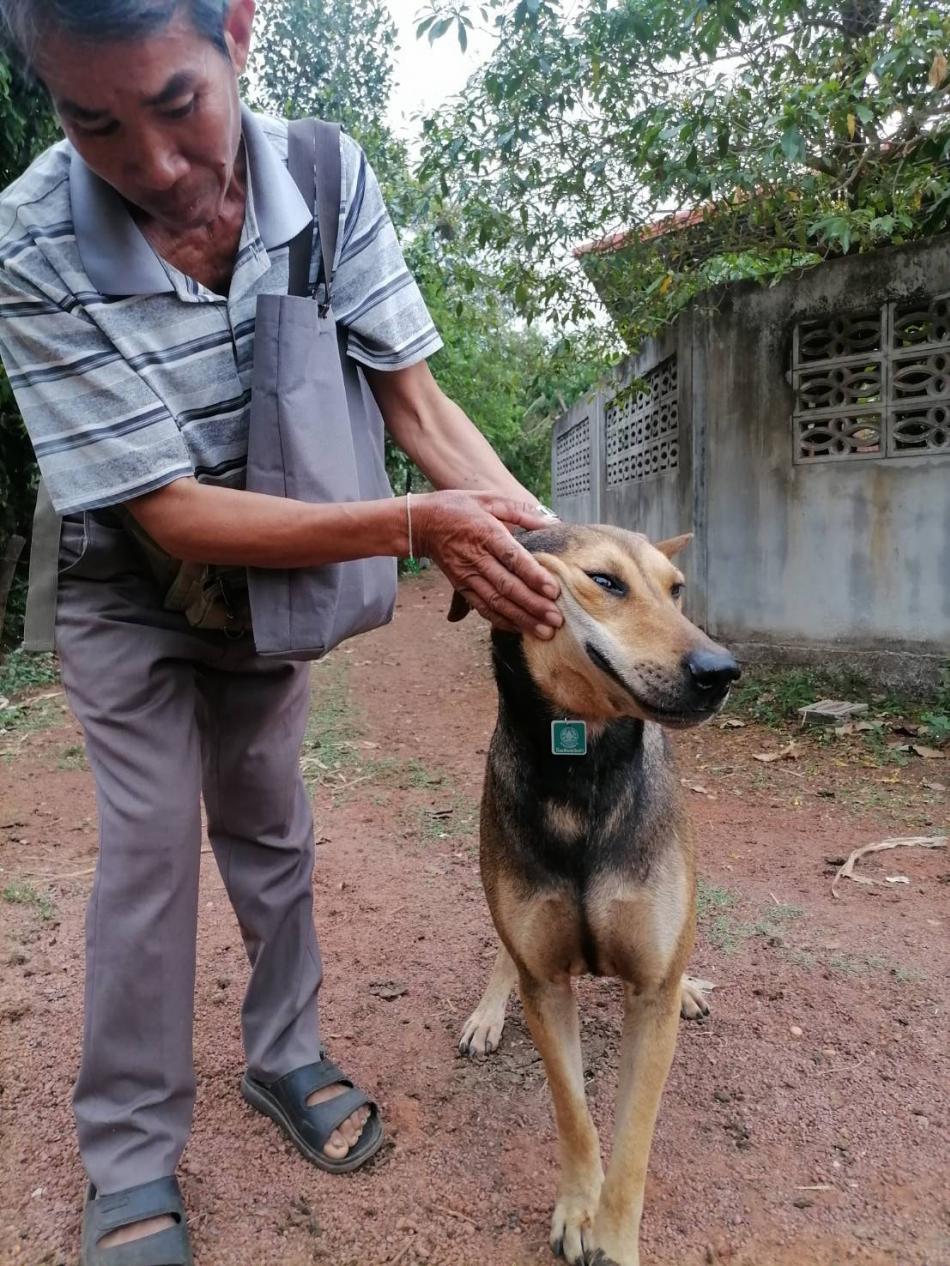 รณรงค์ฉีดวัคซีนป้องกันโรคพิษสุนัขบ้า 